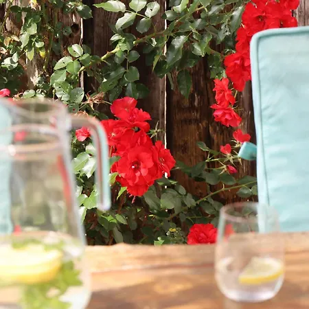 Vale D Sancho Eco Turismo