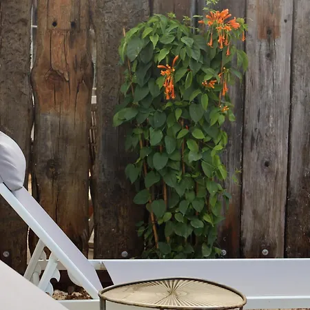 Vale D Sancho Eco Turismo Appartement *