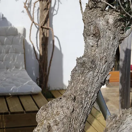 Vale D Sancho Eco Turismo Appartement