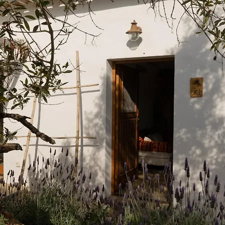 Vale D Sancho Eco Turismo Appartement Aljezur